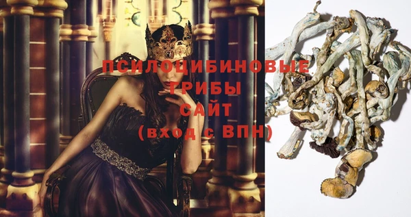 прущие крисы Арсеньев