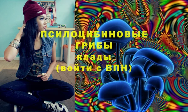 прущая мука Армянск