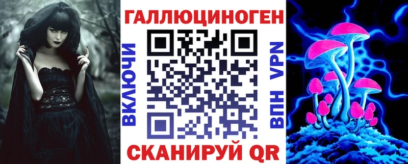 закладка  Волгоград  Псилоцибиновые грибы GOLDEN TEACHER 