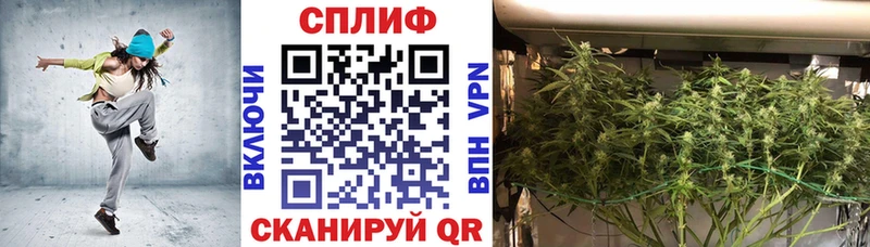 Бошки марихуана тримм  гидра   Волгоград 
